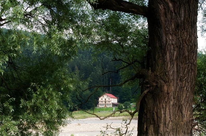 Voronet Residence Gura Humorului Buitenkant foto